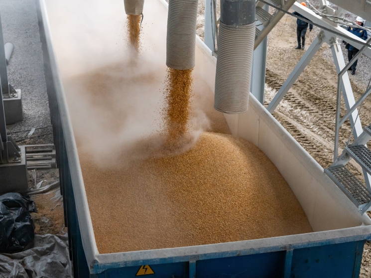 Поле или продукция компании